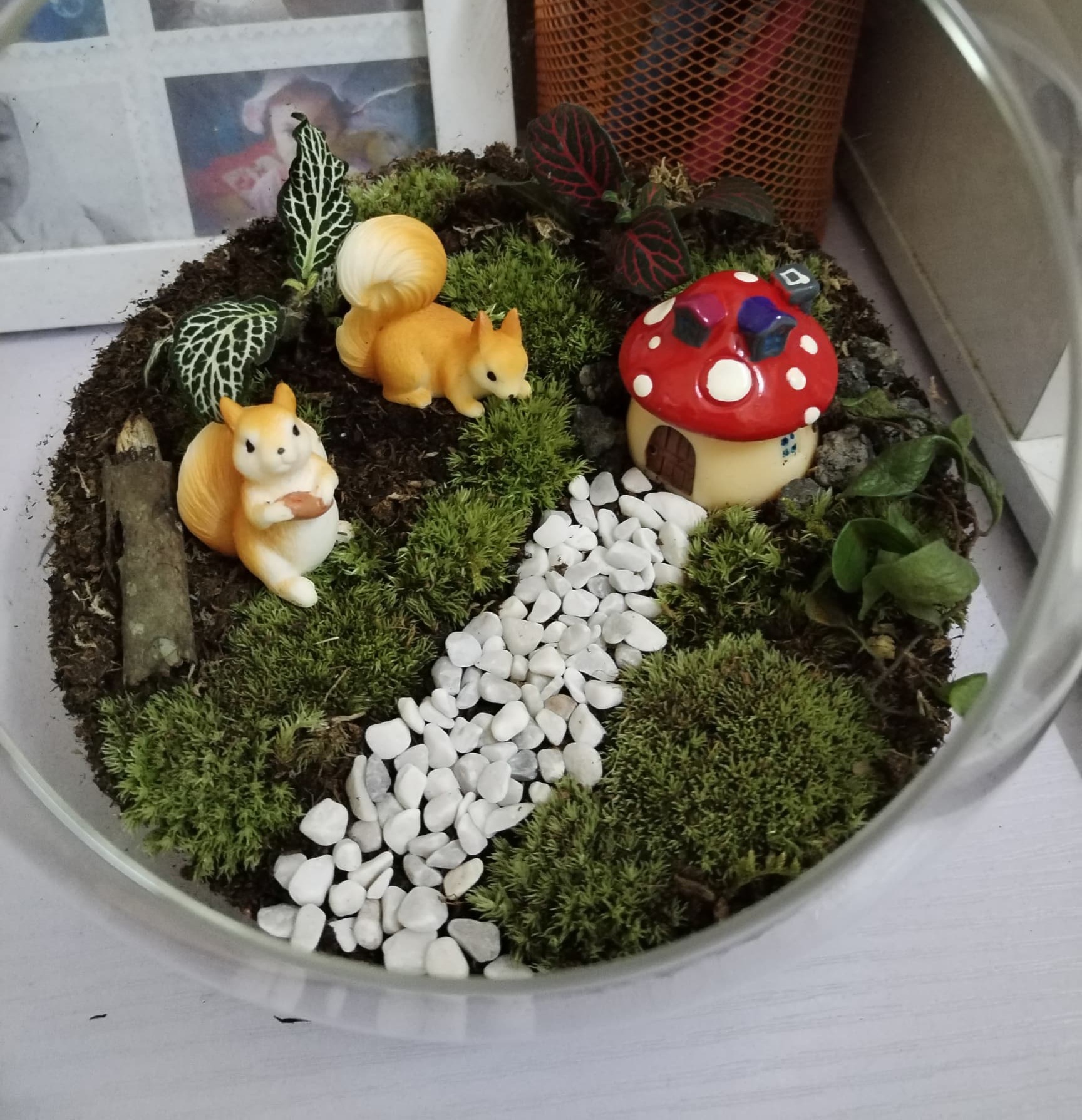 Mereka Cipta Terrarium
