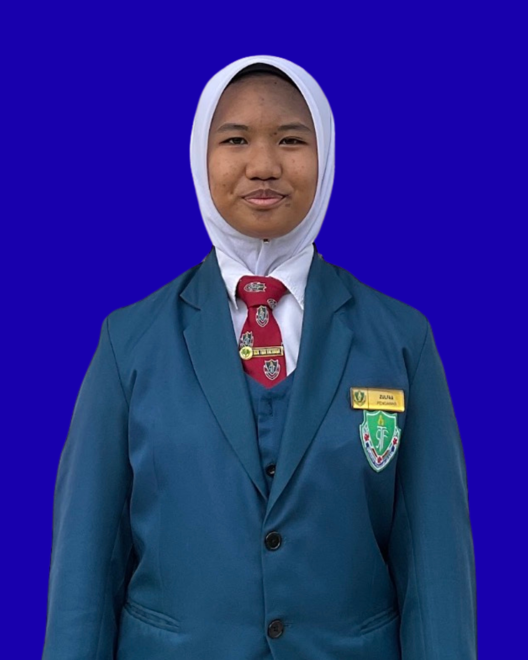 Zulfaa Ufairah binti Zulkifli's professional profile