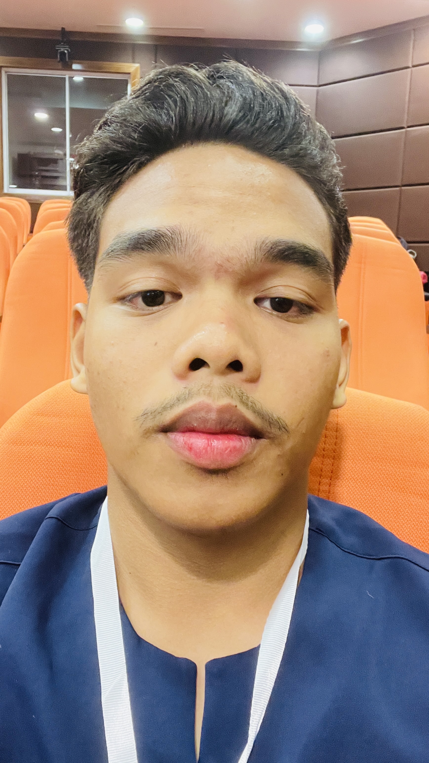 muhammad zarfan adha bin azman's professional profile
