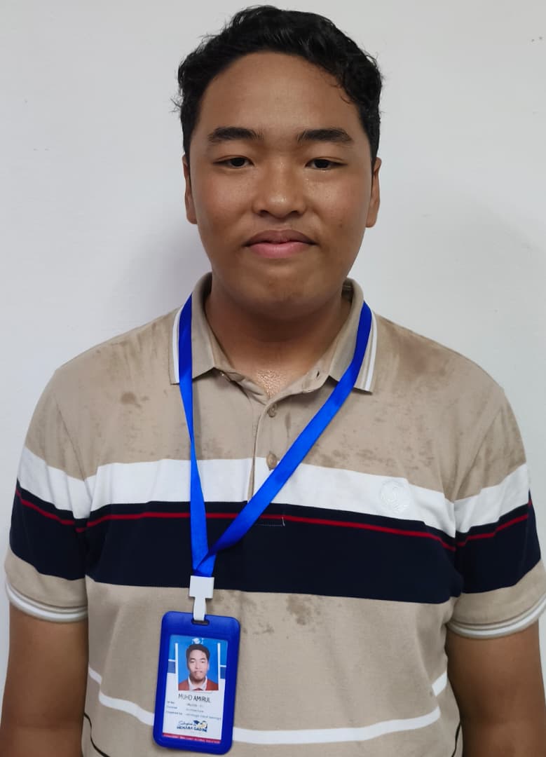 MUHAMMAD AMIRUL BIN MARIZAN