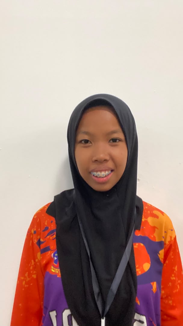 INTAN SALINA BINTI MOHD HANIF