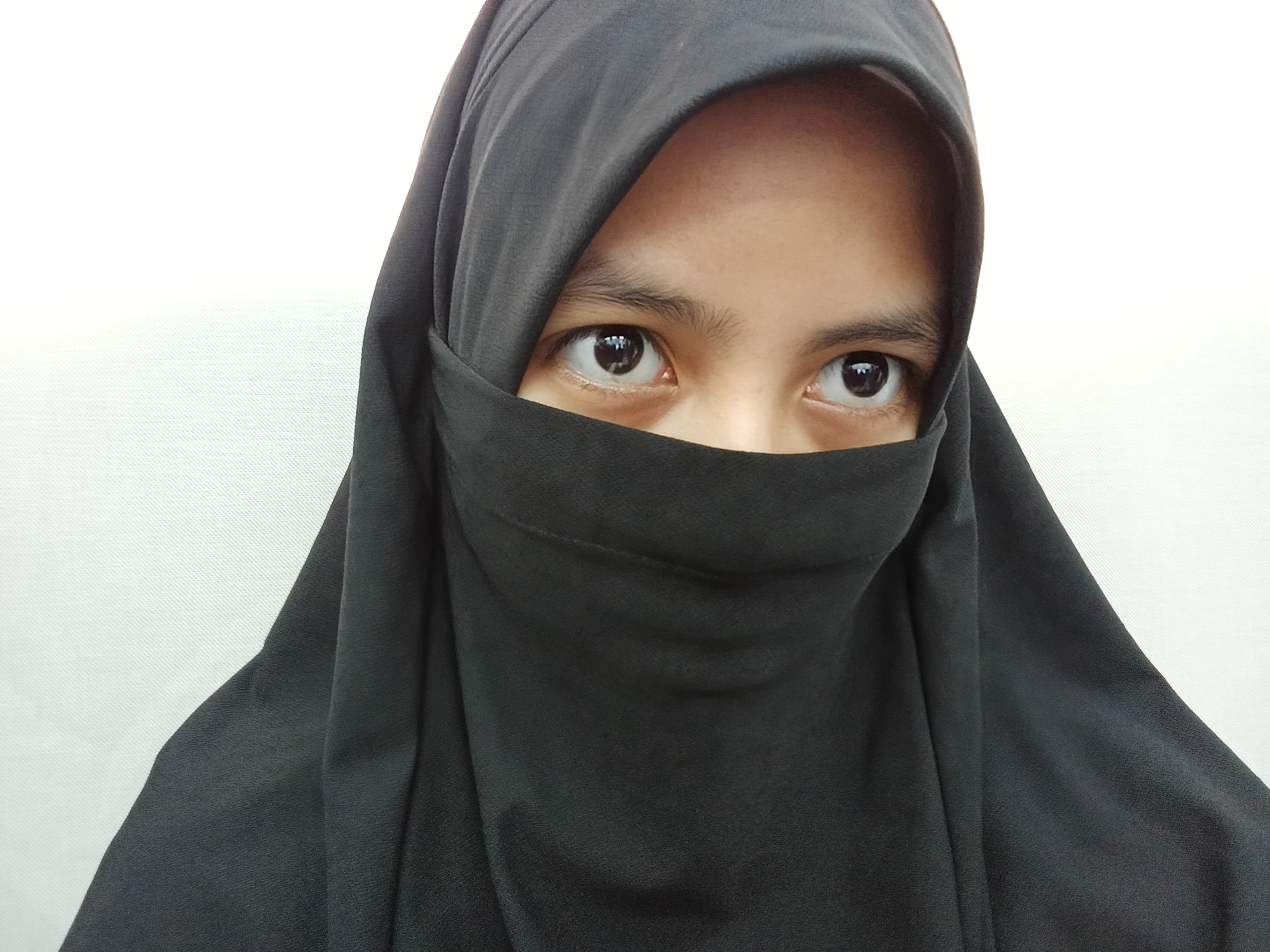 Puteri Balqis Danisha Binti Abdullah's professional profile