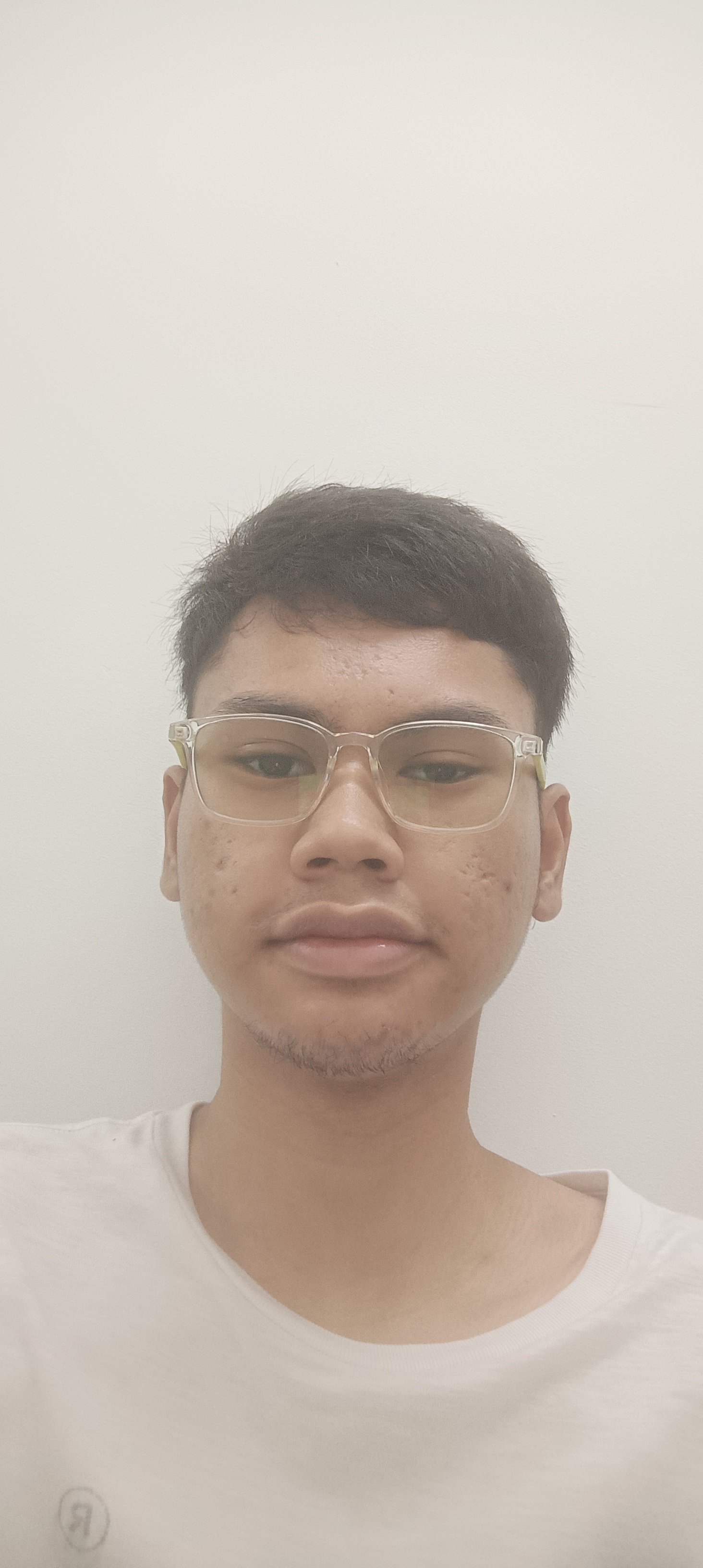 Ahmad Rizman Rayyan Bin Abdullah's professional profile