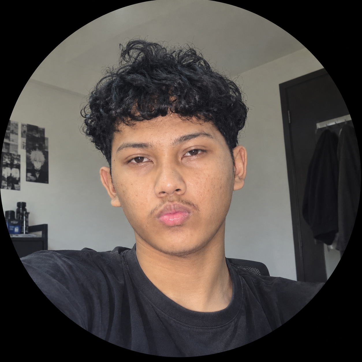 MUHAMMAD HANIF DANIAL BIN MOHD ARIF's professional profile