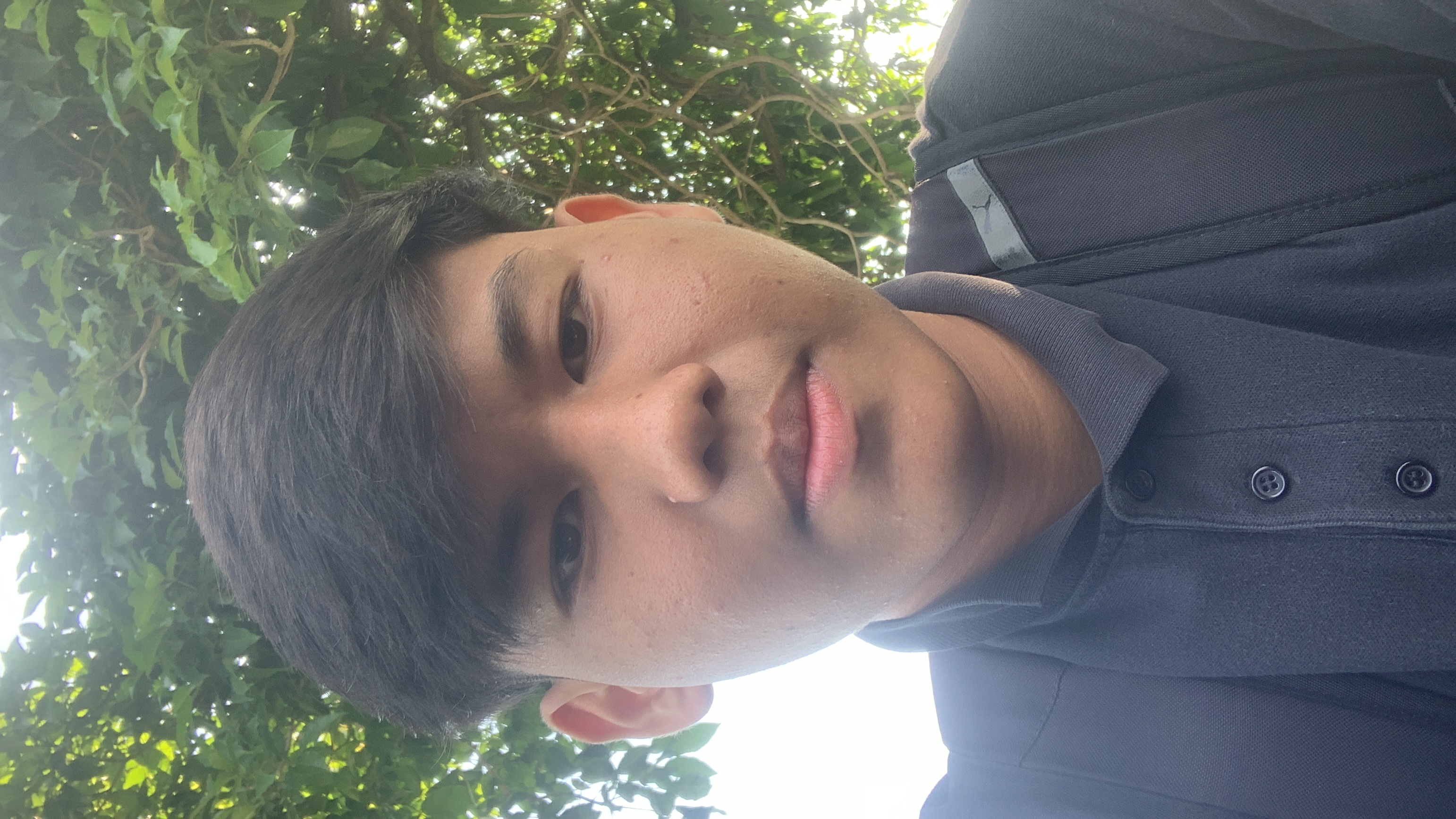 MUHAMMAD AAQIF HARRAZ BIN MOHAMAD SAAD's professional profile