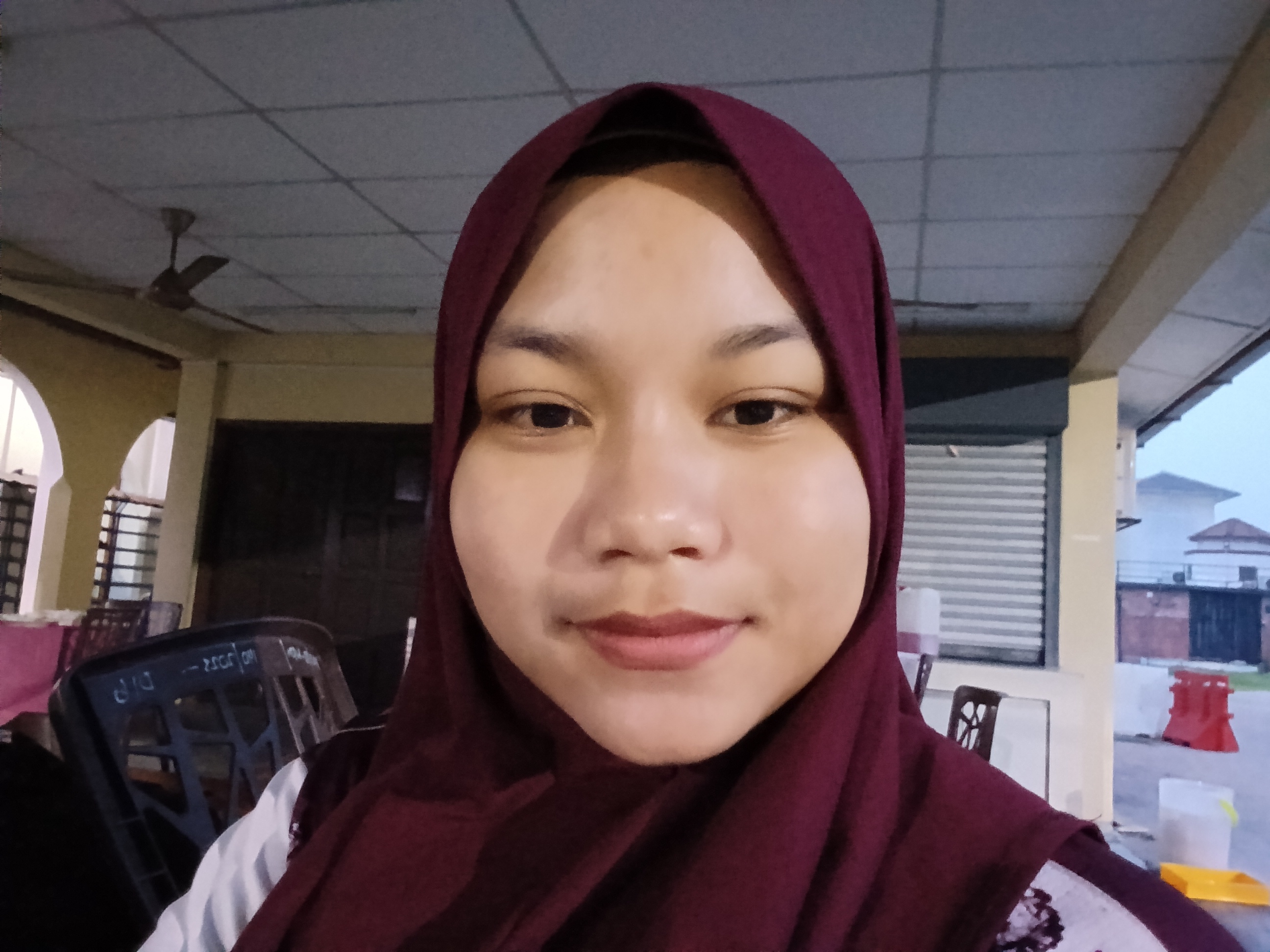NUR AINA SYAFIQAH BINTI MOHD KHALIFAH's professional profile